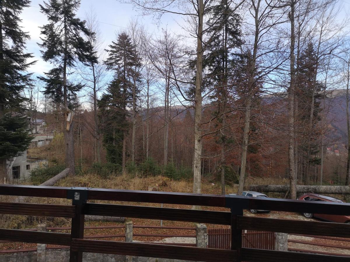 Vila Ines Sinaia Exterior foto