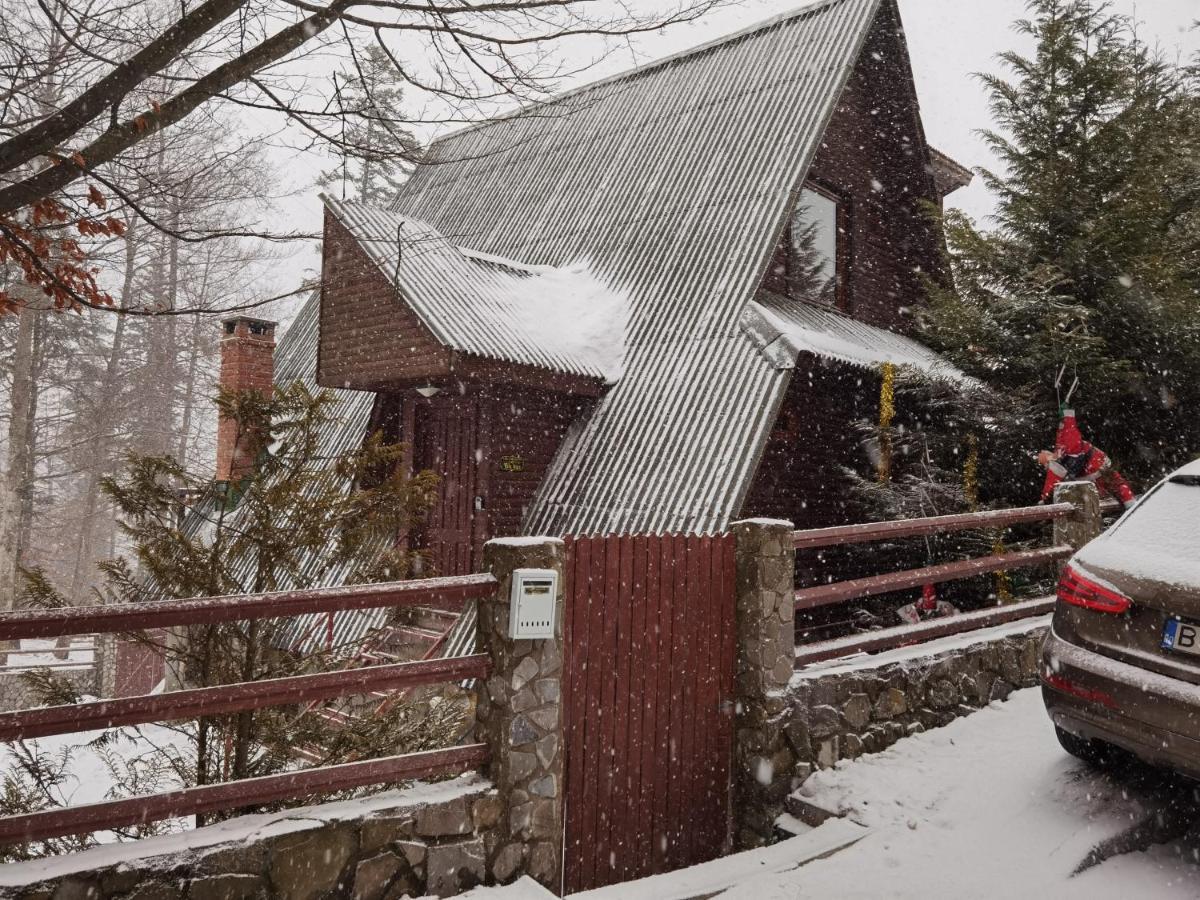 Vila Ines Sinaia Exterior foto